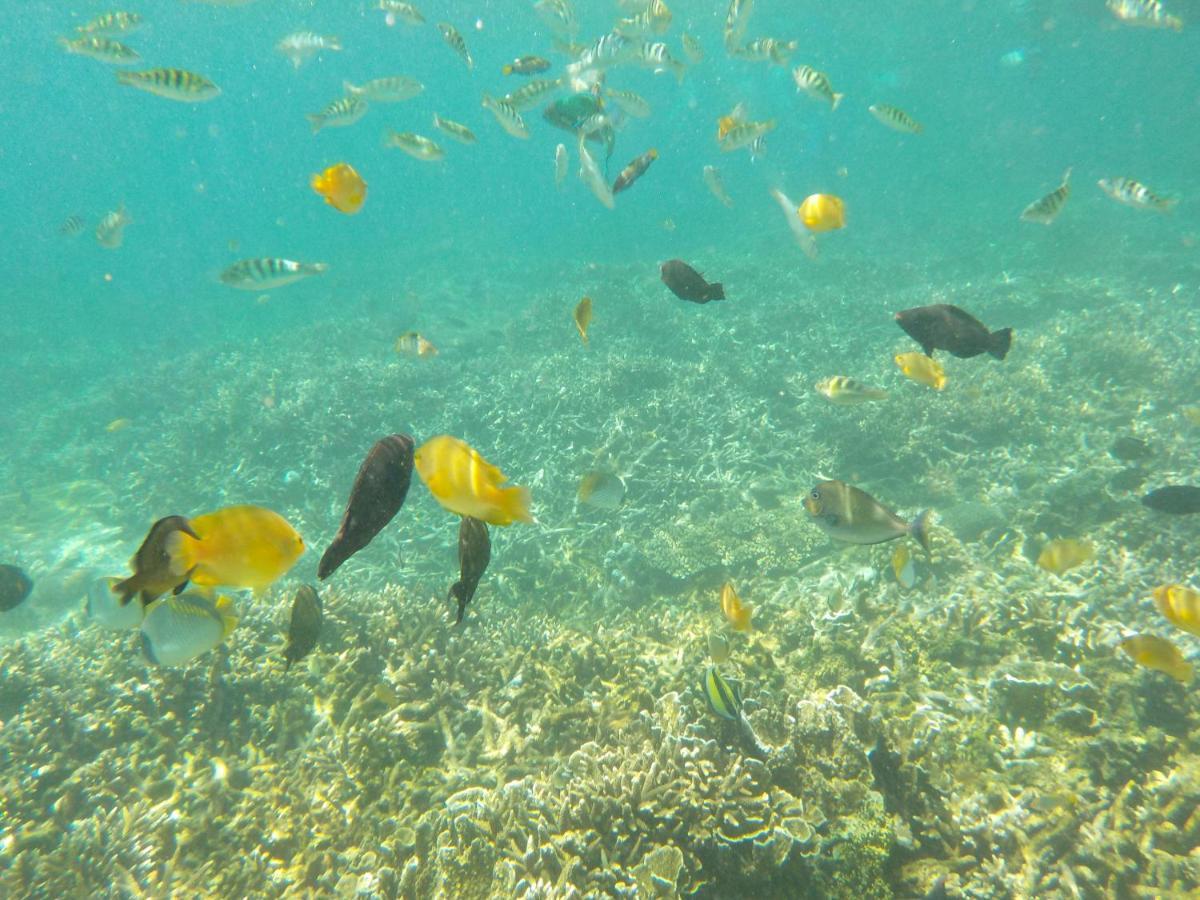 La Gautch Bungalow Hotel Lembongan Buitenkant foto